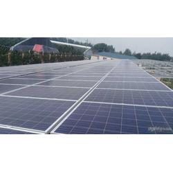 金鼎盛世 以服務(wù)至上的理念，引領(lǐng)太陽(yáng)能發(fā)電行業(yè)新篇章