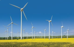 世貿(mào)通引領(lǐng)綠色能源新篇章 美國內(nèi)華達(dá)州太陽能發(fā)電項(xiàng)目正式發(fā)布